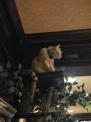 Lobby Bar At The Algonquin Hotel