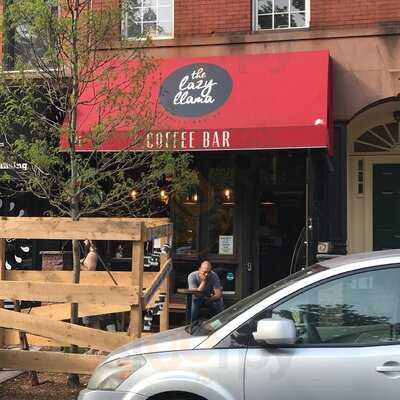The Lazy Llama Coffee Bar