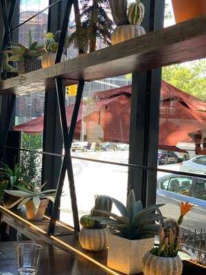 La Diagonal Agaveria