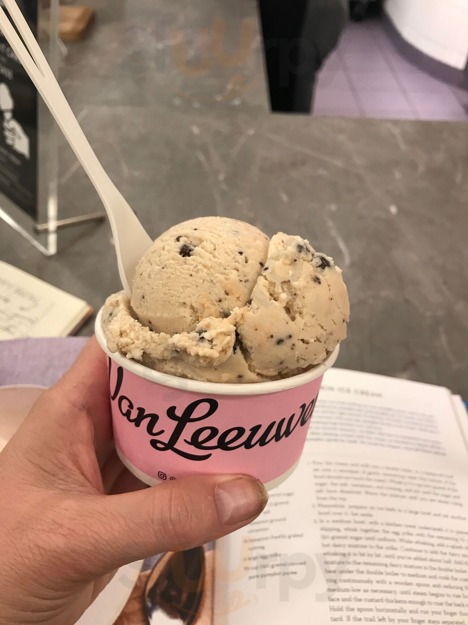 Van Leeuwen Artisan Ice Cream
