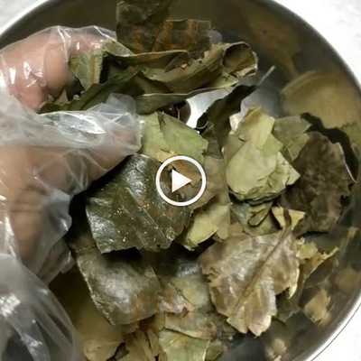 The Bush Doctor Juice Bar