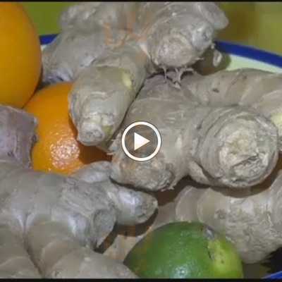 The Bush Doctor Juice Bar