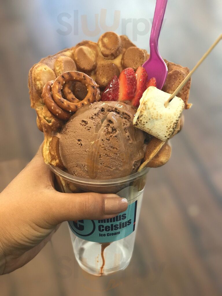 Minus Celsius Ice Cream