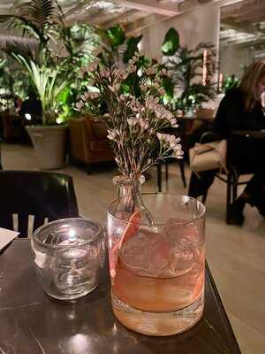 The Terrace And Outdoor Gardens