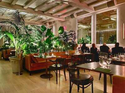 The Terrace And Outdoor Gardens