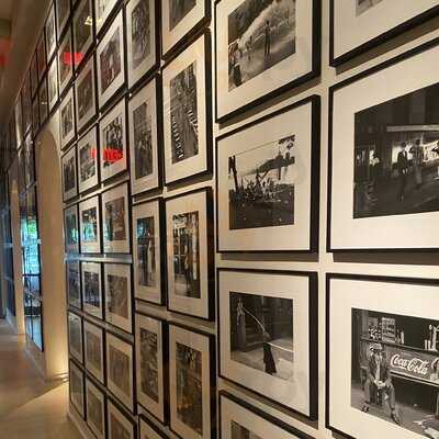 The Terrace And Outdoor Gardens