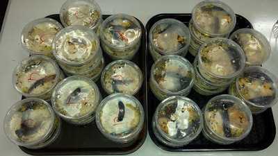 Devon Halal Sub & Grill