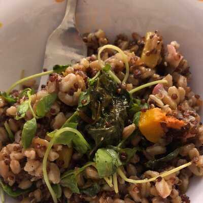 Parson's Chicken & Fish