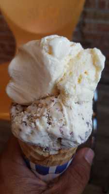 La Michoacan The Green Party