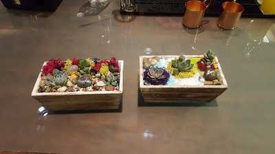 North Shore Distillery