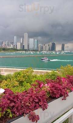 Bubble Net Food Court