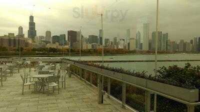 Bubble Net Food Court