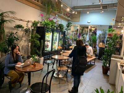 Remi Flower & Coffee