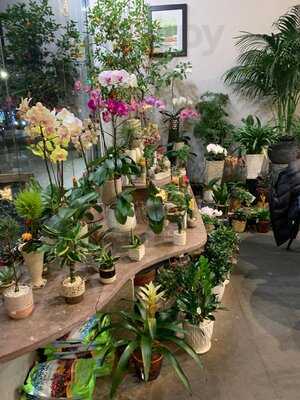 Remi Flower & Coffee