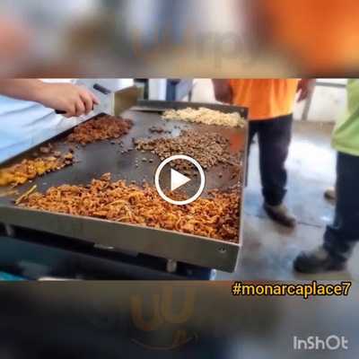 Monarca P.l.a.c.e. 7