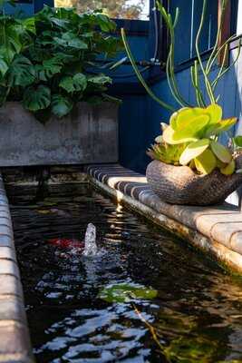 Ivanhoe Restaurant & Bar