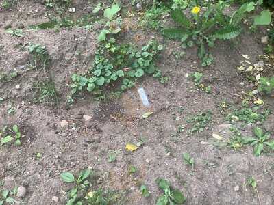 Red Hook Lobster Pound