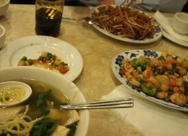 Canal Best Restaurant