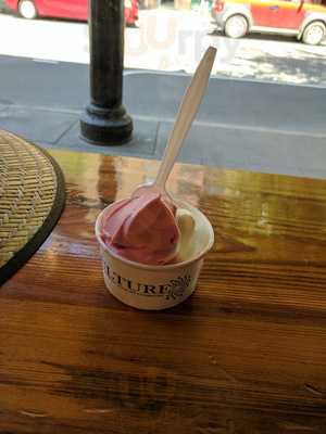 The Yogurt Culture Company