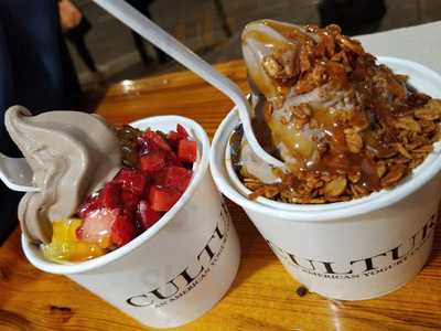 The Yogurt Culture Company