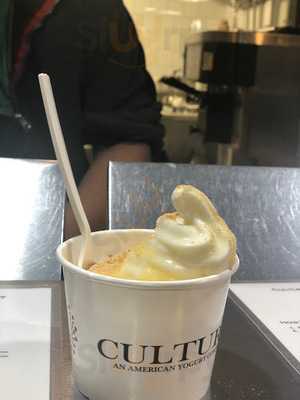 The Yogurt Culture Company