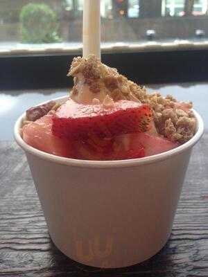 The Yogurt Culture Company