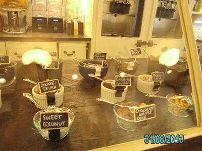 The Yogurt Culture Company