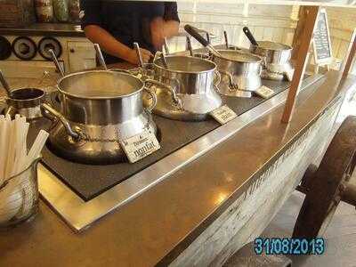 The Yogurt Culture Company