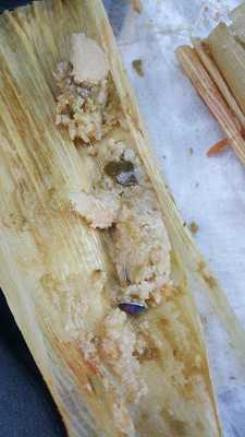 Taquieria Morelo's