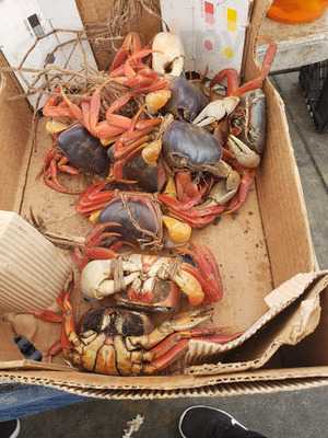 Don Lencho Restaurant