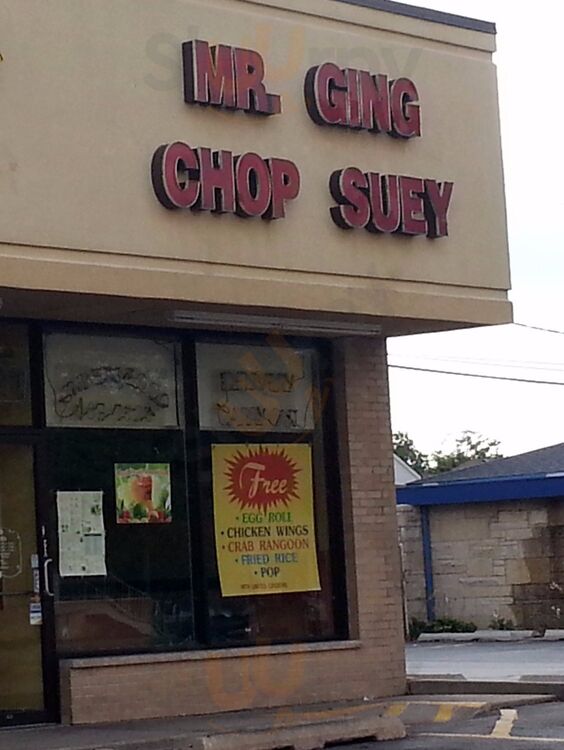 Mr Ging Chop Suey