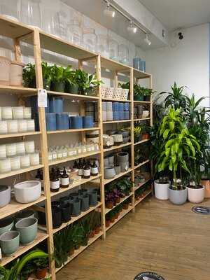 Plantshed Cafe 87th Street