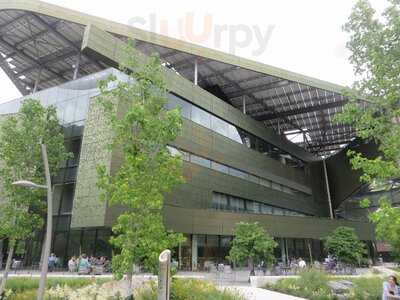 The Cafe At Cornell Tech
