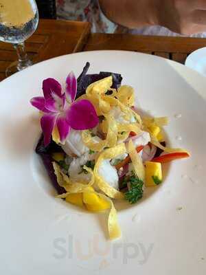 Pat'e Palo Bar & Grill