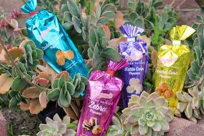 Popcornopolis Universal Citywalk