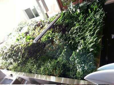 Home Sweet Home The Basque Bakery