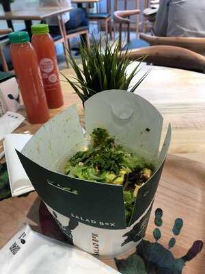 Salad Box