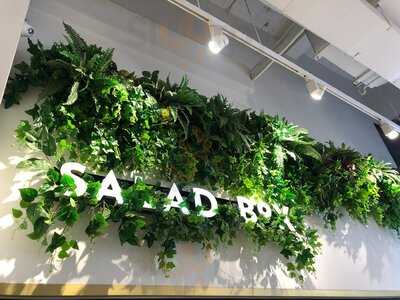 Salad Box