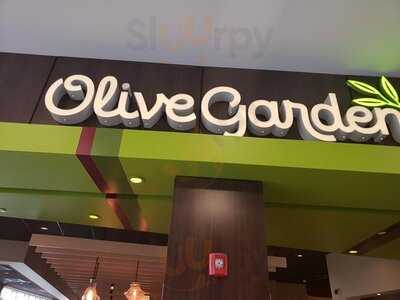 Olive Garden