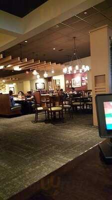 Olive Garden