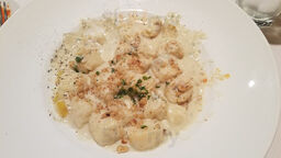 Radicchio Pasta And Risotto