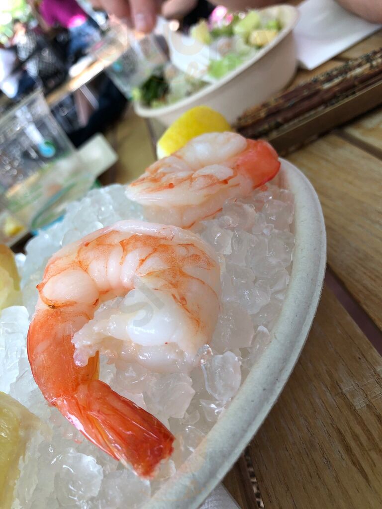 Hook'd On The Hudson