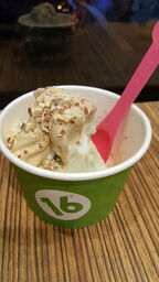 16 Handles