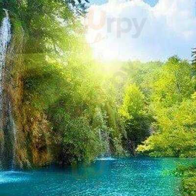 El Rey Del Bistec Y Caridad