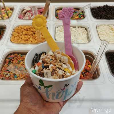 Yogurtland