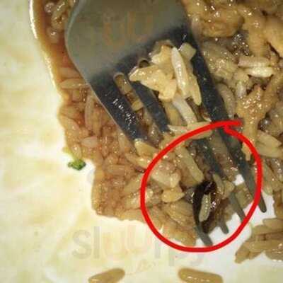 Hiro Sushi At Ollie's