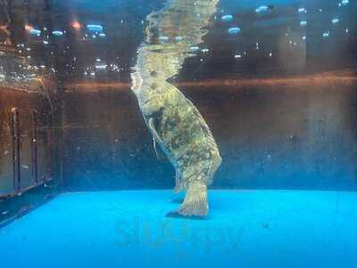 New Hong Wong Seafood Restaurant