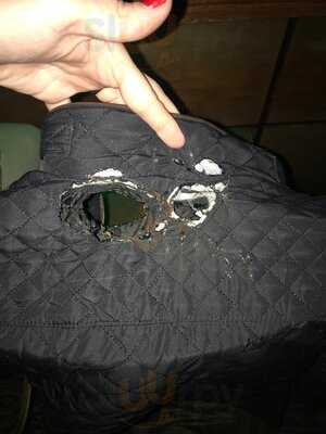 The Spotted Owl Tavern