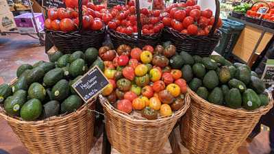 Pasta! Pasta! Pasta!