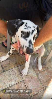 Rumba Island Bar & Grill